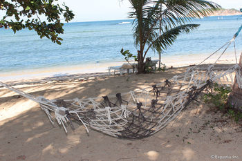 Cashew Grove Beach Resort Busuanga Ngoại thất bức ảnh